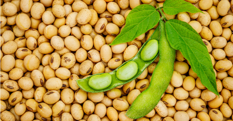 Soja puxa aumento produtivo de grãos em 2021