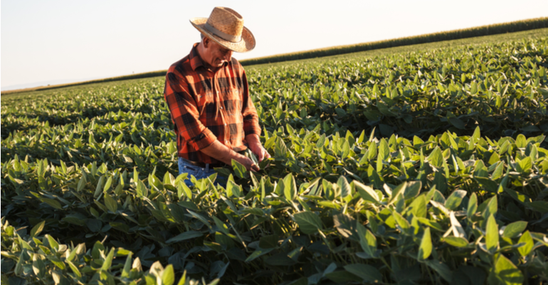 O que você precisa saber sobre o manejo sustentável da soja