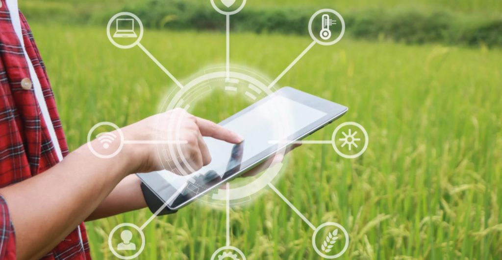 How precision agriculture improves results in the field