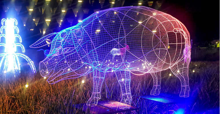 5G na suinocultura: entenda como funciona essa parceria