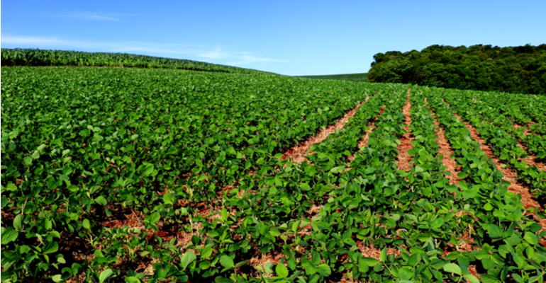 Como plataforma do Incra facilita regularização fundiária