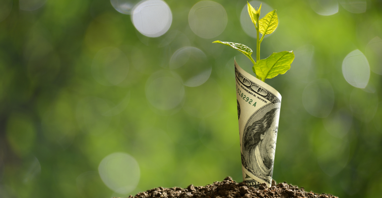 Compensação da emissão de gases do efeito estufa