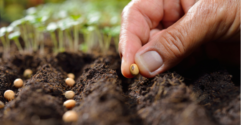 A maturidade que falta ao Agro