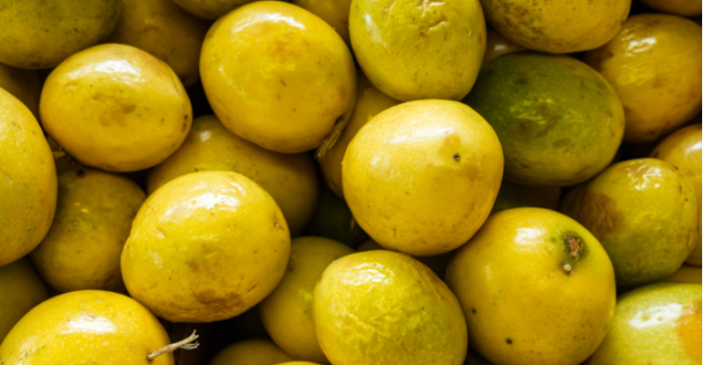 Veja as tendências produtivas do maracujá no Brasil