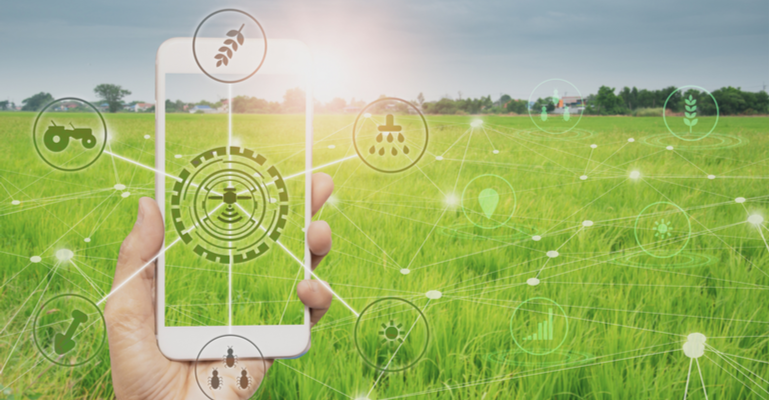 Internet pode aumentar produção agropecuária em até R$ 100 bi