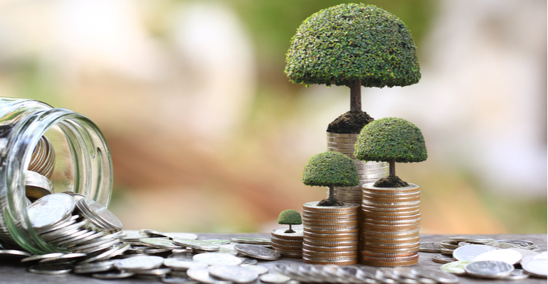 O que é título verde por que certificar sua fazenda?