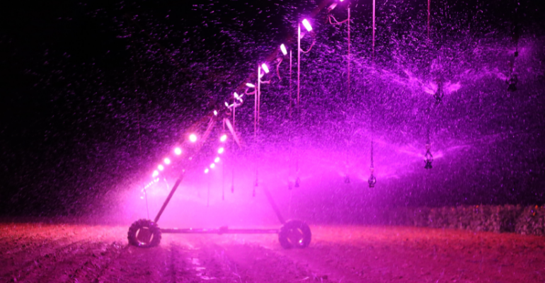Saiba mais sobre irrigação por luz noturna seus benefícios