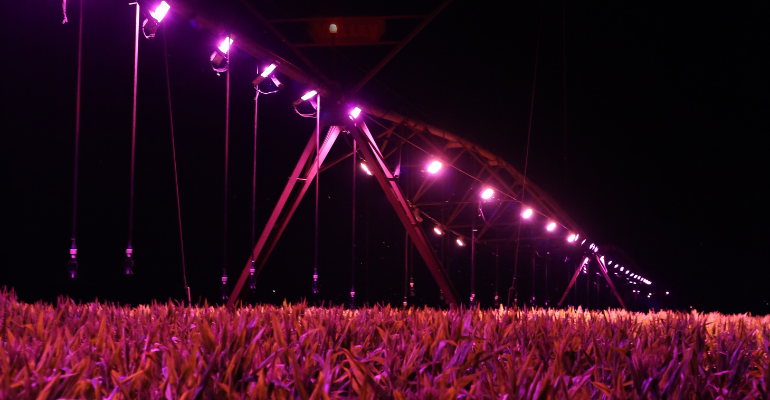 Suplementação luminosa em lavouras e os benefícios desse processo