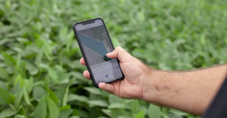 WDRVI: o que é a sigla que te ajuda a aumentar sua rentabilidade!