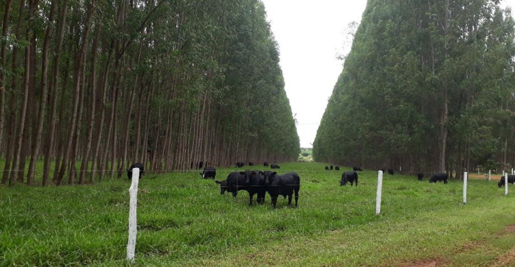 ILPF system: an ongoing revolution