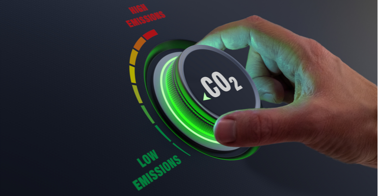 Revelamos os segredos da produção de créditos de carbono