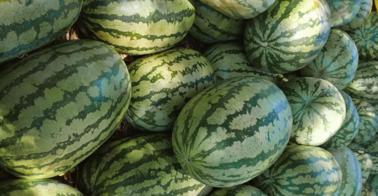 Rica em água e fonte de carboidratos, melancia é terceira fruta mais produzida no Brasil