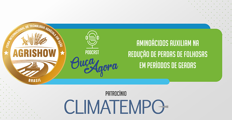 Aminoácidos auxiliam na redução de perdas de folhosas em períodos de geadas – AGROTALK – CLIMATEMPO