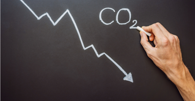 O carbono verde no Brasil