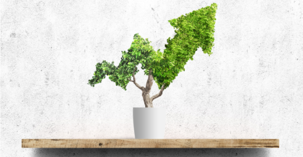 Rural producers expand investments in sustainability