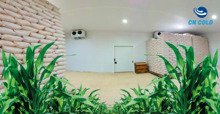 Economia energética no armazenamento de grãos e sementes