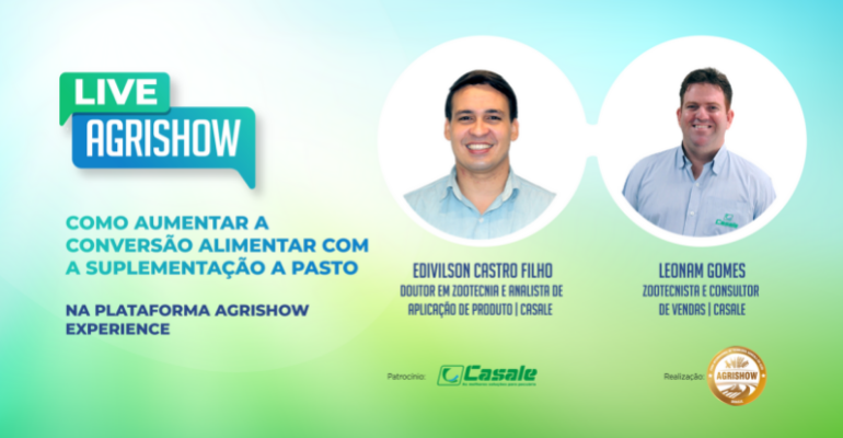 Como aumentar a conversão alimentar com a suplementação a pasto  – Live Agrishow
