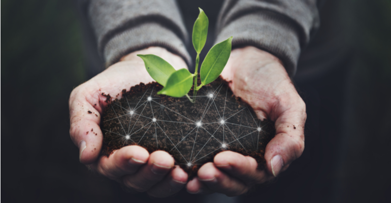 Tecnologia no agronegócio e o desenvolvimento da fazenda 4.0