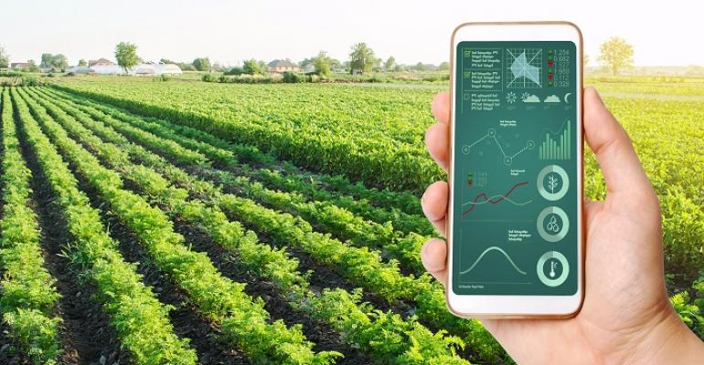 Agtechs: startups buscam otimizar o uso de novas tecnologias no Agro