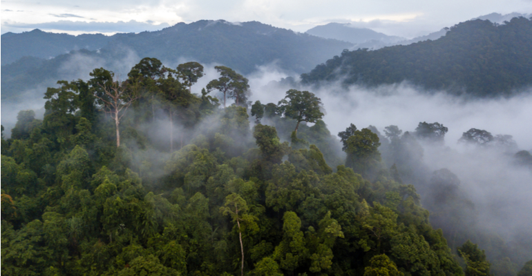 O LADO “B” DO BRASIL