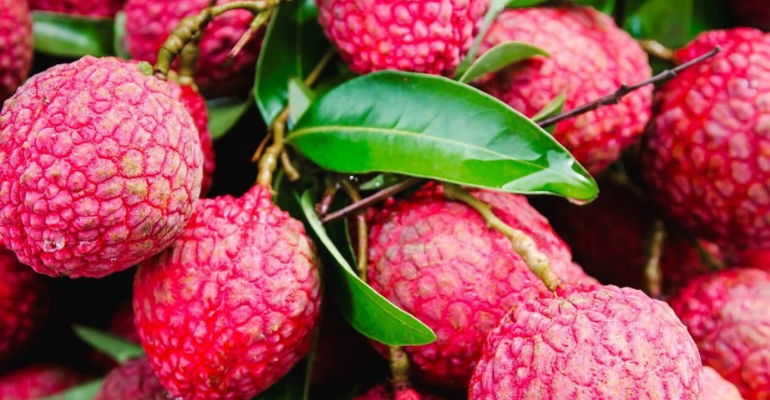 Originária da China, lichia tem produtividade concentrada entre novembro a janeiro