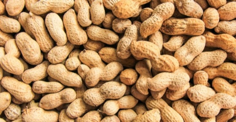 Amendoim ajuda a prevenir doenças e melhora o humor