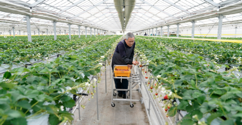 Perfil de alumínio e atuador elétrico: inovação e praticidade no agro