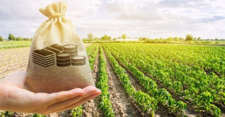 Por que o controle de custos na lavoura merece total prioridade?