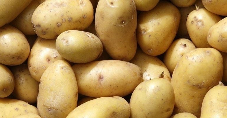 Batata: fique por dentro de uma das culturas alimentares mais importantes do planeta