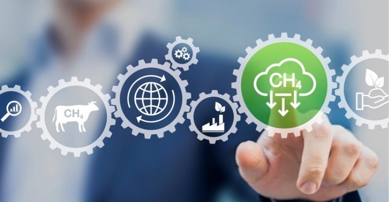 Sustentabilidade nas estratégias de negócios agropecuários