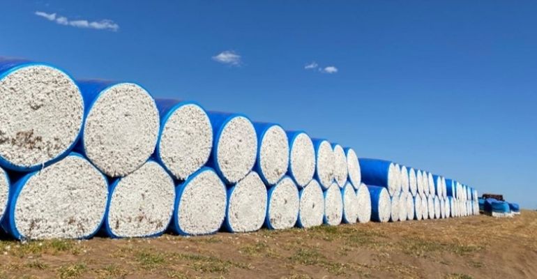 TechAgro inova com tecnologia nacional para a colheita de algodão