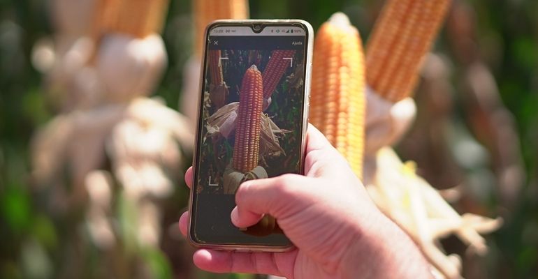 Aplicativo traz novas soluções para o monitoramento das lavouras