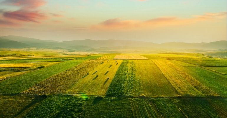 Campo Economicamente Sustentável