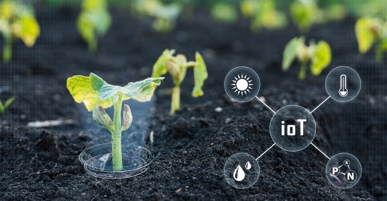 4 exemplos de aplicações de IoT na agricultura