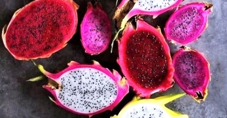 Pitaya: fruta de origem mexicana ajuda na prevenção de doenças