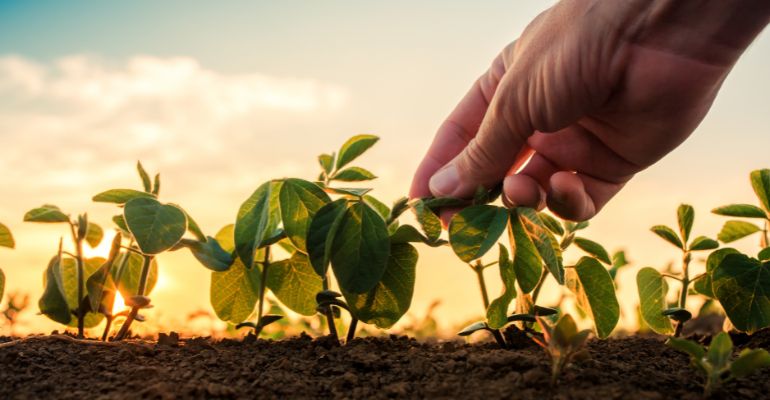 O Agro nem sempre tem certo e errado