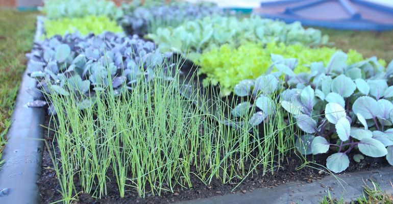 Soluções tecnológicas sustentáveis para o campo