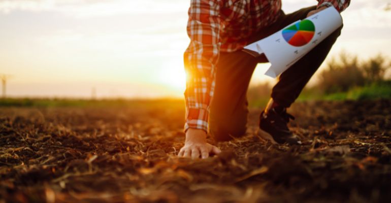 Planejamento de safra: guia completo