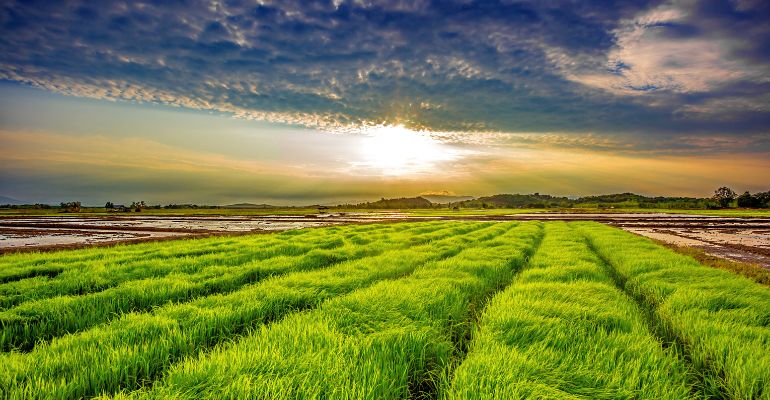 Integrar para fortalecer