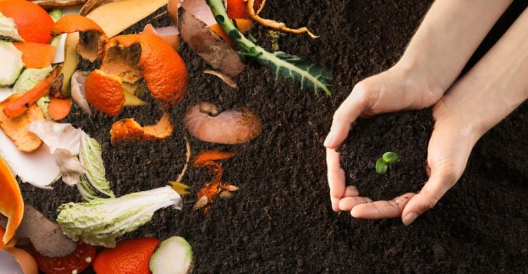 Fertilizantes orgânicos: como utilizar nas plantações?