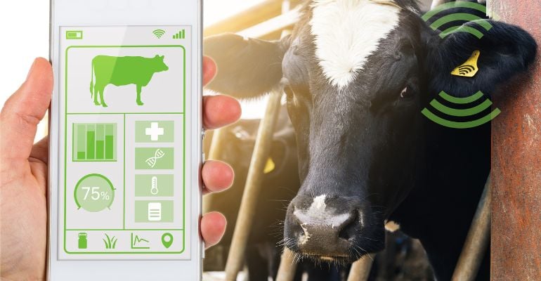 4 tecnologias de pecuária de precisão que você precisa conhecer