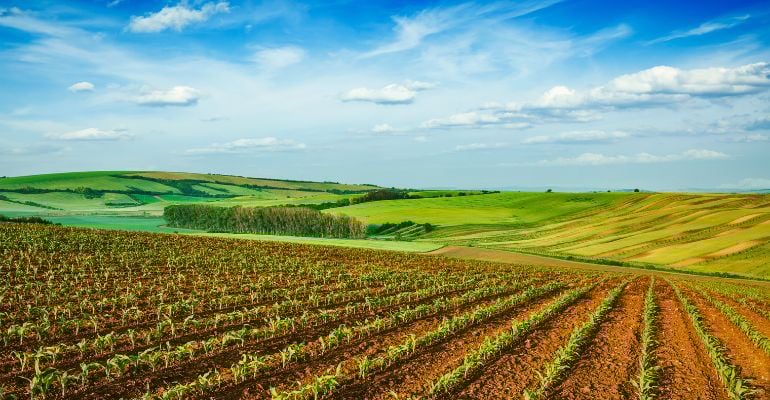 Imposto sobre Propriedade Rural: saiba como fazer a declaração do ITR 2022