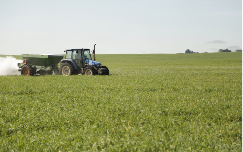 Como usar óxido de cálcio como corretivo em pastagens