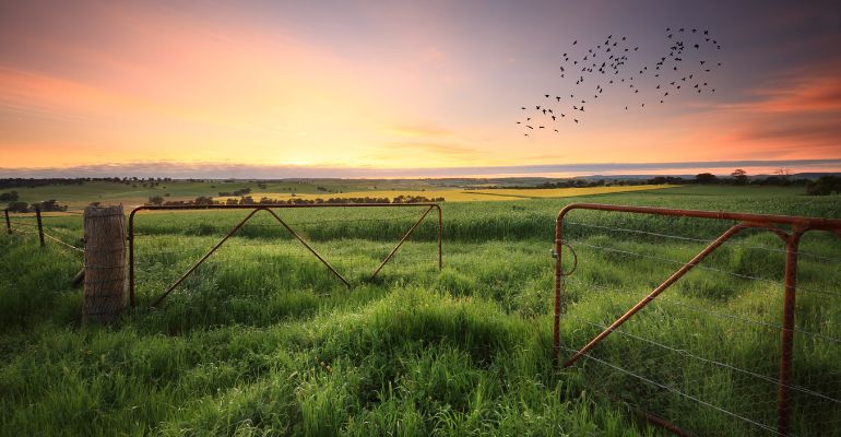 Turismo rural no Brasil: como investir nessa oportunidade de negócio?