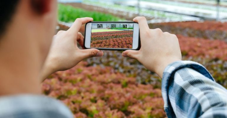 Como saber se as estratégias de marketing estão funcionando?