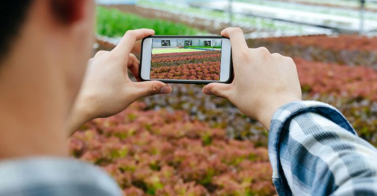 O marketing está funcionando?