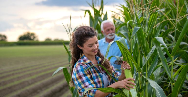 Sucessão familiar: agora meus filhos mandam, eu obedeço, e… todos perdem