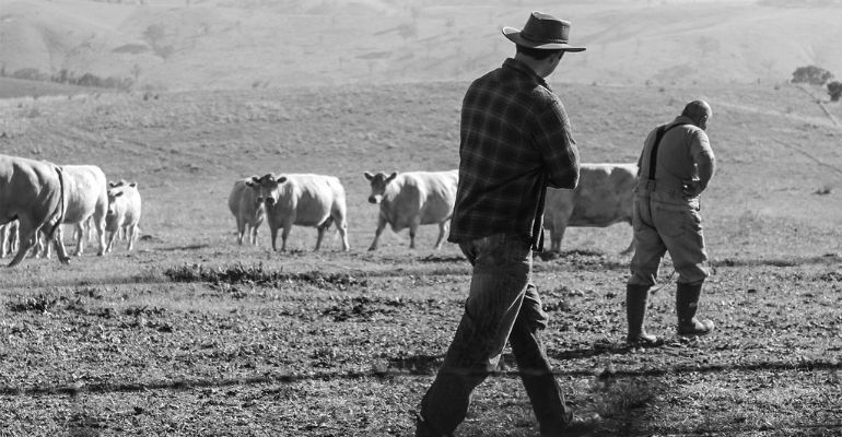 O jovem pecuarista jurássico