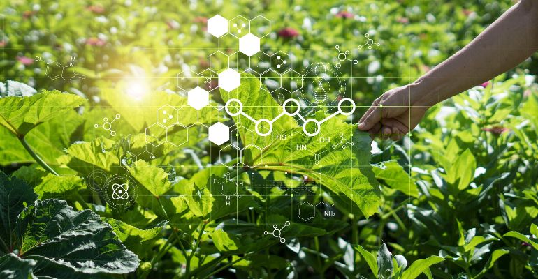 Nanotecnologia na agricultura: desenvolvimento e aplicações