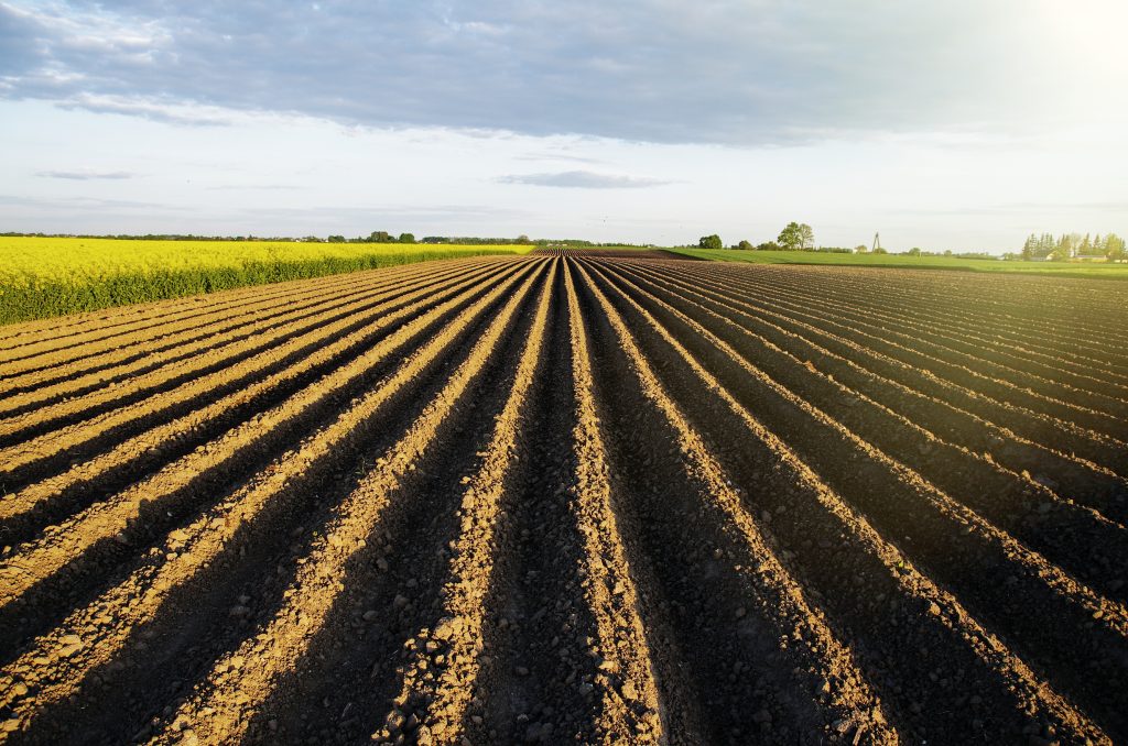 Quais as vantagens da Agricultura Conservacionista para o solo?